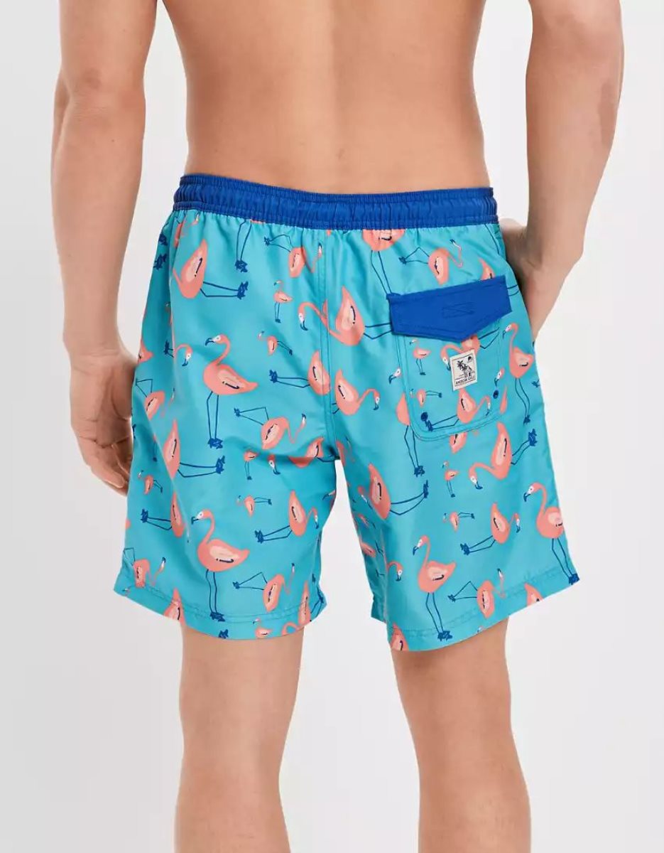 Shorts American Eagle AE 7